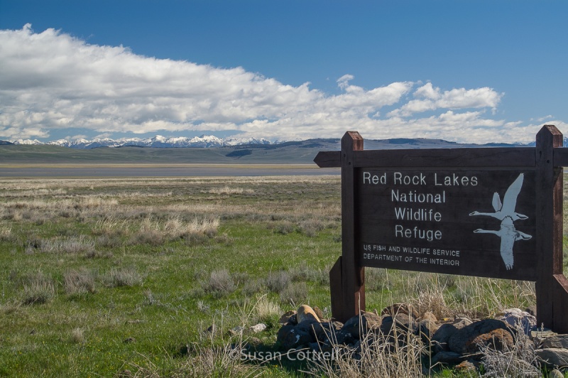 Red Rock Lakes National Wildlife Refuge, Montana